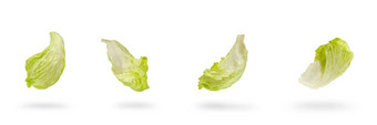 冰山生菜绿色叶子孤立的白色背景新鲜的生菜叶滴影子成分汉堡包