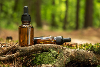 化妆品容器位于自然森林背景