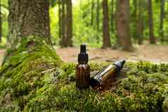 化妆品容器位于自然森林背景