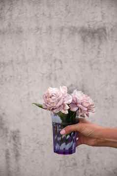 女手持有玻璃衰落味蕾烟雾缭绕的淡紫色玫瑰灰色的墙背景