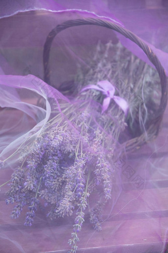 薰衣草花束柳条篮子透明的紫色的雪纺