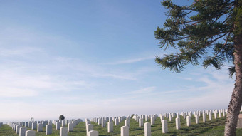 墓碑美国军事国家纪念墓地墓地美国