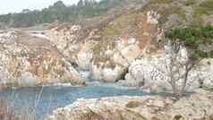 松柏科的松柏树树岩石峭壁悬崖海洋海滩加州海岸