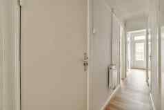 门口现代公寓白色墙木条镶花之地板地板上