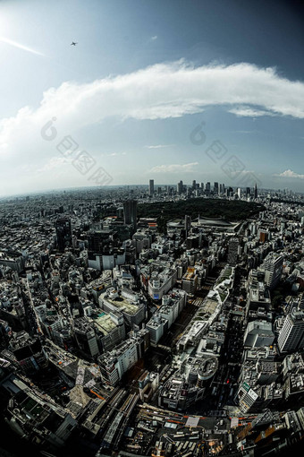 东京城市景观涩谷天空