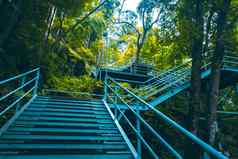攀爬楼梯秋天秋天季节在户外秋天公园黄色的叶秋天季节季节改变把改变移动概念的想法背景