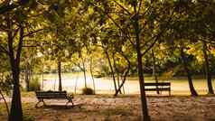 背景城市公园春天树灌木板凳上岛湖