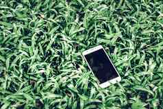 移动手机绿色草工作在户外生活方式使生活更容易技术概念的想法背景模拟优惠券代码聪明的电话