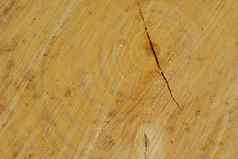 木粮食纹理树树桩裂缝细节粗糙的纹理树树干木材料雕刻标志着圆形模式有机表面自然木材行业