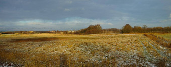 景观场冬天一天位雪草多云的天空干如此草开放草地农村农村棕色（的）牧场融化雪树地平线