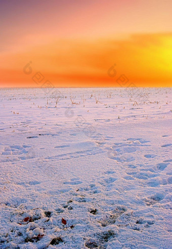 雪覆盖字段橙色日落惊人的橙色天空空冻农田冬天景观场景软新鲜的白色降雪黎明北极场景全球气候变暖气候改变