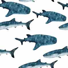 手画水彩无缝的模式鲸鱼鲨鱼海海洋海洋动物航海水下濒临灭绝的哺乳动物物种蓝色的灰色的插图织物托儿所装饰海打印