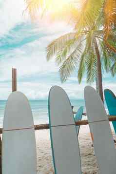 冲浪板租金夏天海滩阳光蓝色的天空
