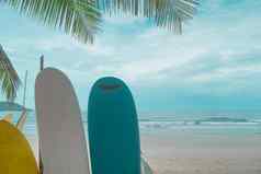 冲浪板租金夏天海滩阳光蓝色的天空