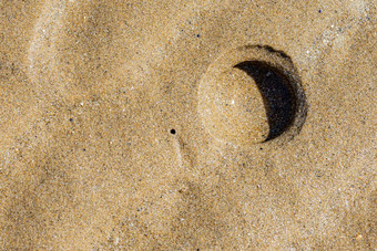 孔竹蛏有边缘的沙子海滩