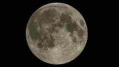 特写镜头完整的月亮可爱的天文学月光