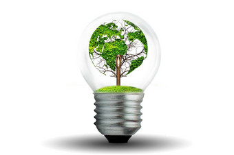 世界形状的树光灯泡概念环境保护保护自然
