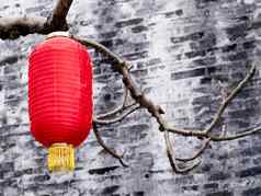 中国人灯笼挂树传统的中国人灯笼红色的纸灯笼中国人一年装饰