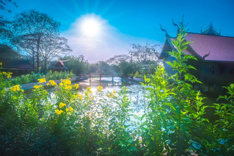 泰国房子古老的体系结构传统的住宅运河曼谷花花园树前景