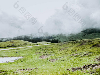 全景图像神秘的绿色有雾的雾松树森林山布切吉山罗马尼亚春天一天