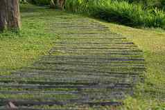 弯曲的摊铺机路径装饰景观设计人行道草场花园人行道路径