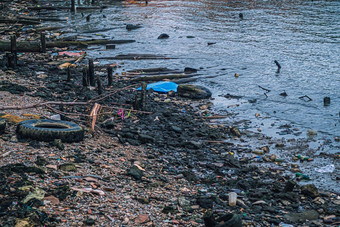 海洋塑料行星危机垃圾海滩外套全球气候变暖问题气候改变效果动物生活风格