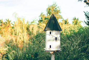 鸟屋鸟给料机白色木户外花园鸟木嵌套房子巢首页花园花园自然的想法