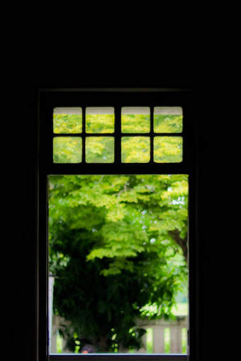 绿色叶子背景木框架清晰<strong>的</strong>玻璃窗口创建绿色自然窗口框架