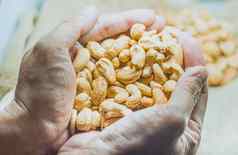 腰果坚果手健康的脂肪蛋白质食物农业行业