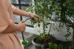 年轻的女人浇水植物软管国内生活概念