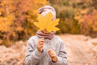 孩子们玩秋天公园孩子们扔黄色的叶子孩子女孩枫木叶秋天树叶家庭户外有趣的秋天蹒跚学步的学龄前儿童秋天