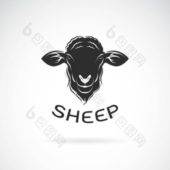 向量羊头设计白色背景容易可编辑的分层向量插图农场动物