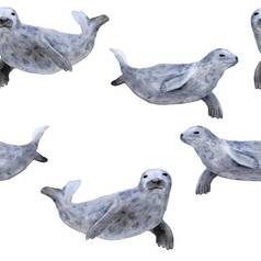 手画水彩无缝的模式密封海海洋海洋动物航海水下濒临灭绝的哺乳动物物种蓝色的灰色的插图织物托儿所装饰海打印