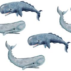 手画水彩无缝的模式精子鲸鱼海海洋海洋动物航海水下濒临灭绝的哺乳动物物种蓝色的灰色的插图织物托儿所装饰海打印