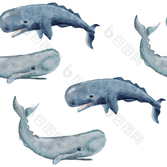 手画水彩无缝的模式精子鲸鱼海<strong>海洋海洋</strong>动物航海水下濒临灭绝的哺乳动物物种<strong>蓝色</strong>的灰色的插图织物托儿所装饰海打印
