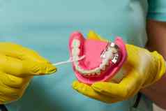 牙医牙线牙签布局人类下巴