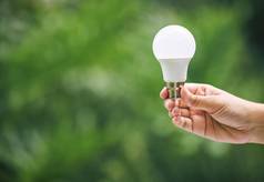 特写镜头手持有光灯泡自然的想法可持续发展的能源选项绿色能源未来