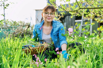 女人手套<strong>铲除</strong>草春天花床上杂草