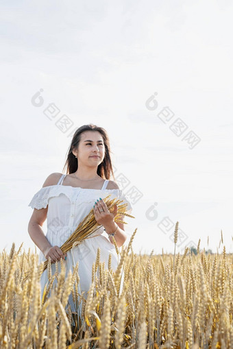 年轻的女人<strong>白色衣服</strong>站小麦场日出背景