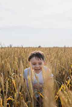 可爱的男孩走小麦场使有趣的脸