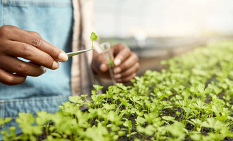 植物学家收集植物样品科学家收集植物样品测试管农民把样品植物床上瓶特写镜头植物学家温室采<strong>取样</strong>本