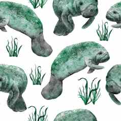 手画水彩无缝的模式海牛牛海海洋海洋动物航海水下濒临灭绝的哺乳动物物种蓝色的灰色的插图织物托儿所装饰海打印