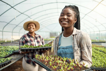 肖像农民持有植物同事站温室快乐农民携带植物托盘的同事们工作农场农民工作托儿所