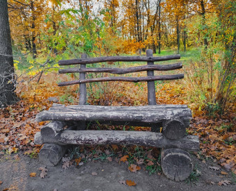 森林木板凳上场景木板凳上深森林木板凳上森林板凳上秋天公园