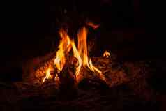 篝火旅游营自然火焰黑暗摘要背景烹饪