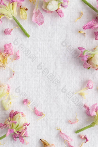 花模式使粉红花白色背景花模式纹理