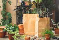 购买房子植物植物商店纸袋