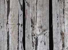 古董背景纹理木木板木概念