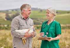 提供建议适当的禽流感护理治疗拍摄男人。讨论兽医家禽农场