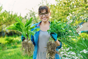 美丽的中间岁的女人<strong>扎根</strong>植物相机